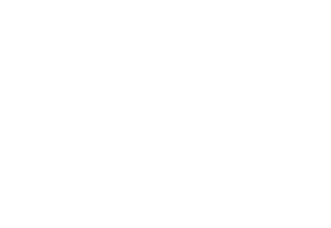 Inc 500 Logo