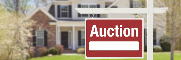 How To Prepare For The Auction Platform How To Prepare For The Auction Platform photo