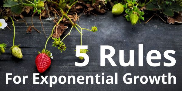 5 Rules for Exponential Growth