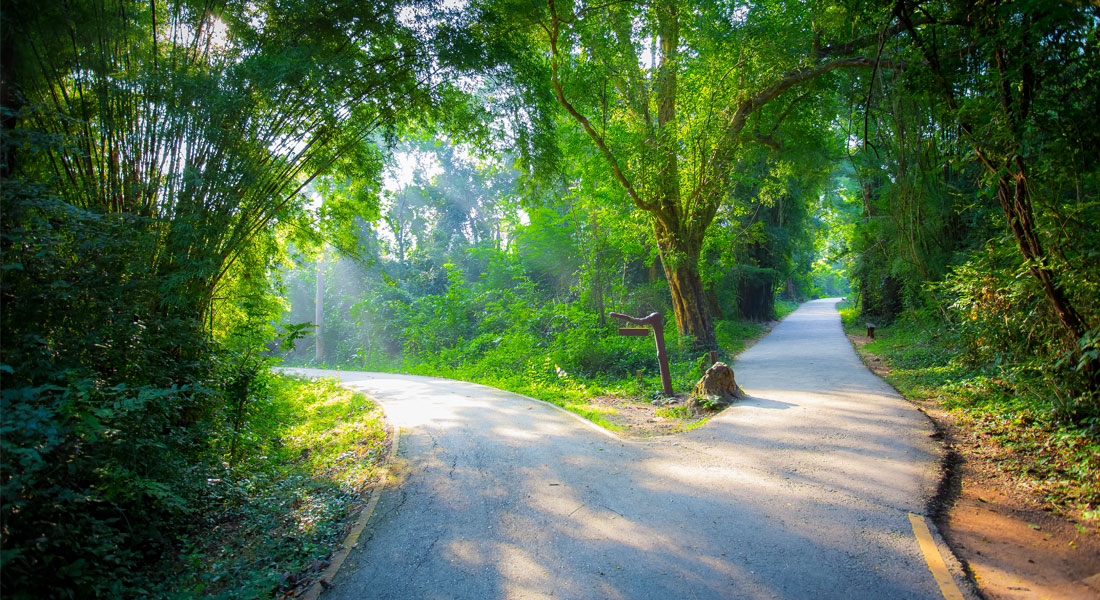 The ‘Choose Your Hard’ Paradox: Why Life Gets Easier When You Accept that It’s Hard The ‘Choose Your Hard’ Paradox: Why Life Gets Easier When You Accept that It’s Hard photo