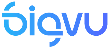 bigvu logo